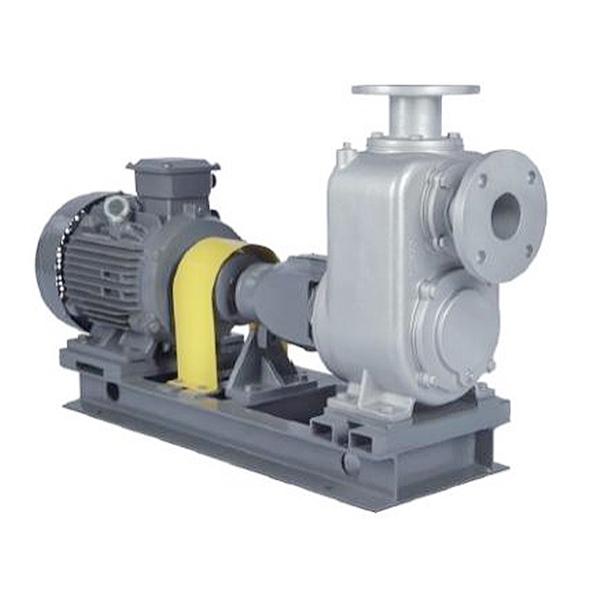 LSGLSK Self-priming Pump LSGLSK